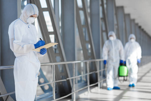  Montague, MI Mold Removal Pros