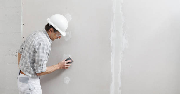 Montague, MI Mold Removal Company