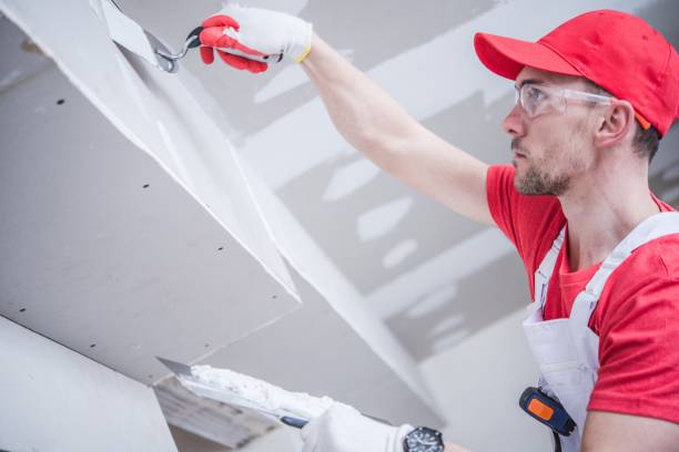 Best Residential Mold Inspection & Testing  in Montague, MI